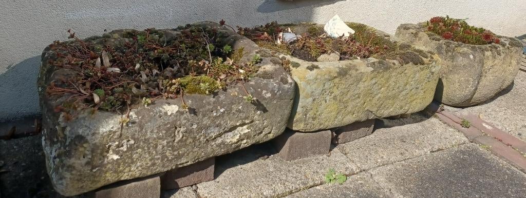 Bentheimer zandsteen trog, Ophalen, Steen, Gebruikt, Minder dan 30 cm