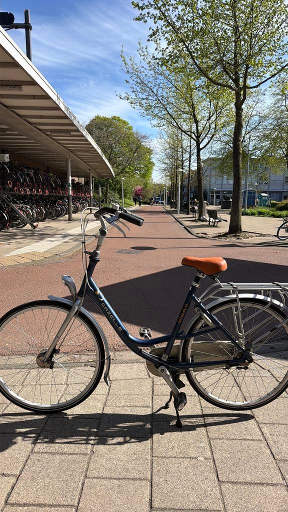 Te koop: Gazelle bloom nexus 7 (6maanden garantie), 56 cm of meer, Ophalen of Verzenden, Zo goed als nieuw