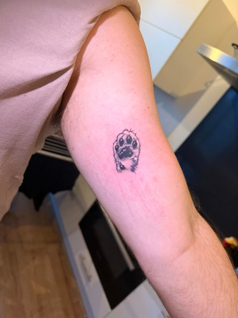 Budget-Friendly Tattoos – Portfolio Building Specials, Hobby en Vrije tijd, Tekenen, Ophalen of Verzenden, Zo goed als nieuw