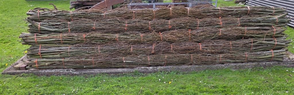 Takkenbossen gemaakt van wilgentakken, Ophalen