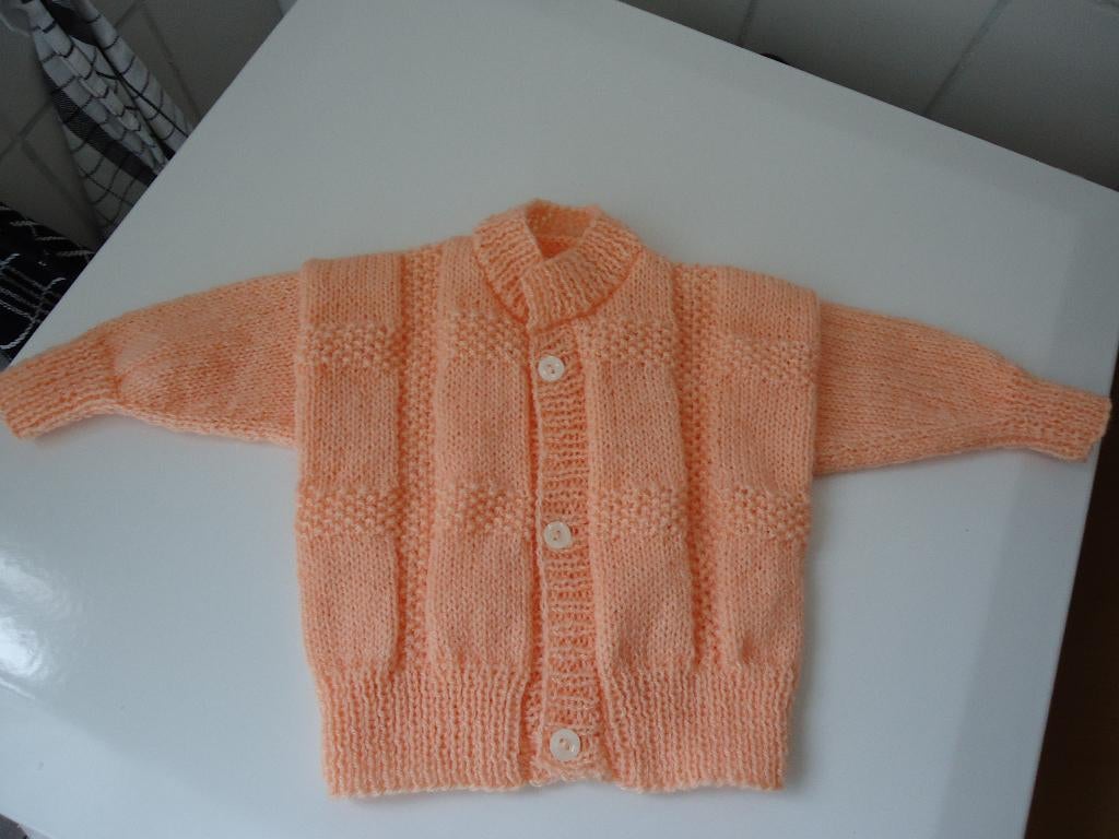 VESTJE MAAT62 KLEUR ZALM ROSE, Kinderen en Baby's, Ophalen of Verzenden, Nieuw, Meisje, Truitje of Vestje