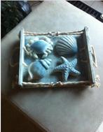 Design vintage houten blad met 4 grote schelpen, Ophalen of Verzenden, Schelp(en)