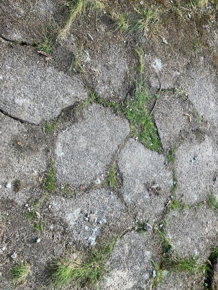 Speelse tuintegels, gratis af te halen (plm 25m2), Tuin en Terras, Tegels en Klinkers, Gebruikt, Terrastegels, Beton, 10 m² of meer