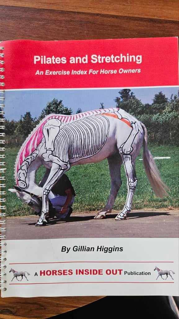 Pilates en Stretching - Gillian Higgin, Boeken, Ophalen of Verzenden, Gelezen, Gillian Higgins