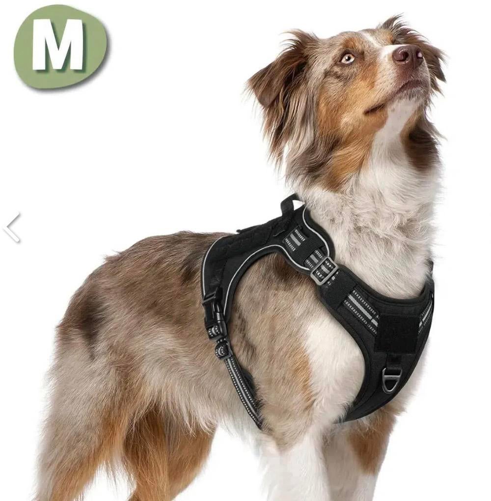 Honden tuigje, Ophalen of Verzenden, Zo goed als nieuw