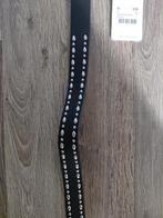 Zwarte Amy & Ivy Riem met Studs, Kleding | Dames, 80 tot 90 cm, 3 tot 5 cm, Nieuw, Tailleriem