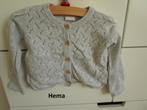 Hema - grijs vestje maat 68, Ophalen of Verzenden, Zo goed als nieuw, Hema, Truitje of Vestje