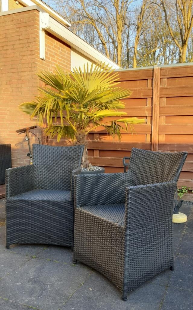 2 stuks Royal Patio loungestoel, Ophalen