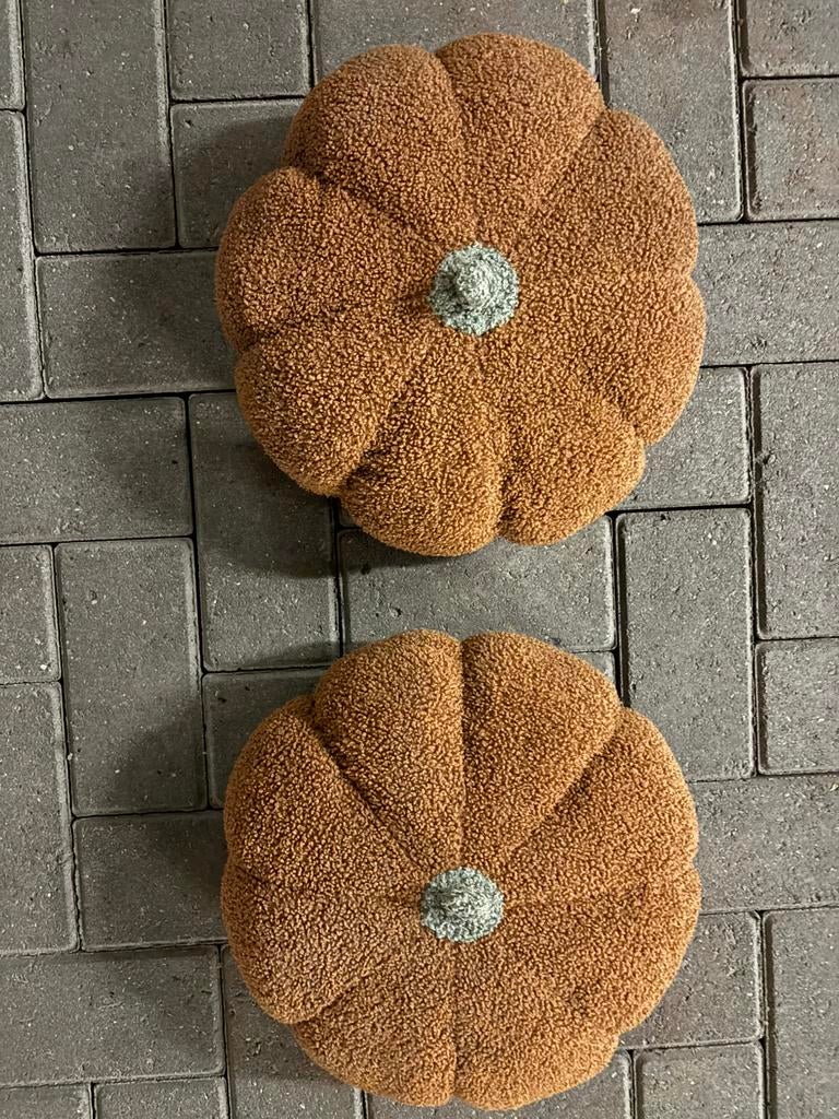 Nieuw twee bruin pompoen kussens, Ophalen of Verzenden, Nieuw, Bruin