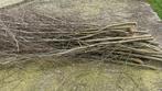 Wilgentenen en wilgentakken, Ophalen, Zo goed als nieuw, 250 cm of meer, Palen
