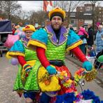 Carnavalskleding voor een groep van 18 personen, Kleding | Dames, Ophalen of Verzenden, Gedragen, Maat 46/48 (XL) of groter, Carnaval