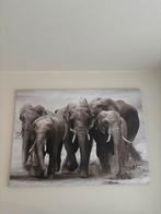 Canvas olifanten, Ophalen, Gebruikt, Print, 100 tot 125 cm