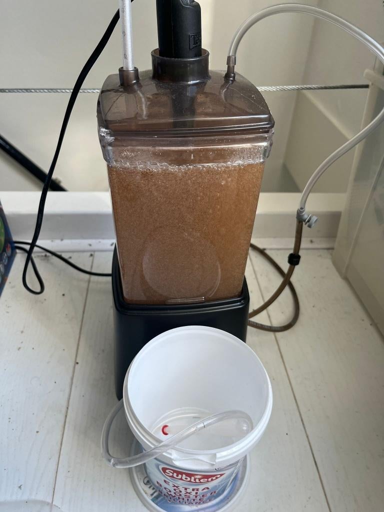 Vers levend artemia voer – op bestelling (Zwolle), Dieren en Toebehoren, Vissen | Aquariumvissen, Overige typen, Zoutwatervis