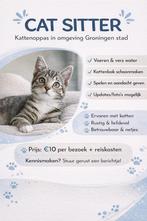Katten oppas Groningen Stad (reserveer nu voor de zomer!), Dieren en Toebehoren, Ophalen of Verzenden, Zo goed als nieuw