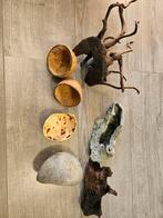 Spiderwood, aquariumhout enaquarium hol, Dieren en Toebehoren, Ophalen, Plant(en), Steen of Hout