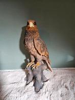 Stenen beeld van een majestueuze valk, Ophalen of Verzenden