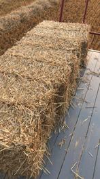 Kleine pakjes stro, Dieren en Toebehoren, Dierenvoeding, Ophalen of Verzenden, Vee