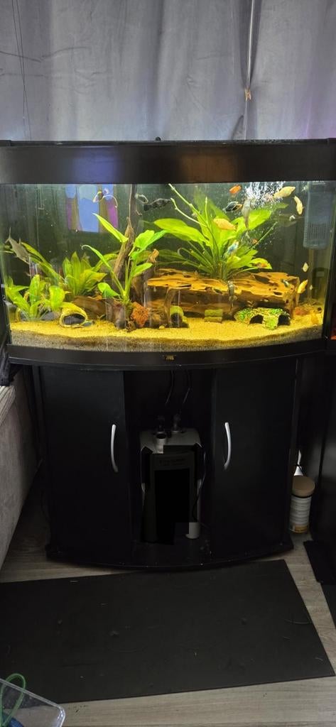 Juwel Vision 180 aquarium, Dieren en Toebehoren, Vissen | Aquaria en Toebehoren, Ophalen, Gebruikt, Leeg aquarium