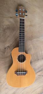 Elektrische Ukelele Elektrische ukelele Hudson Aloha + hoes, Ophalen of Verzenden, Overige typen