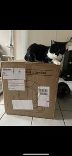 Automatische Kattenbak Nieuw, Ophalen of Verzenden, Nieuw