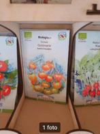 Goldmarie tomaatzaden., Ophalen of Verzenden, Gehele jaar, Volle zon, Zaad