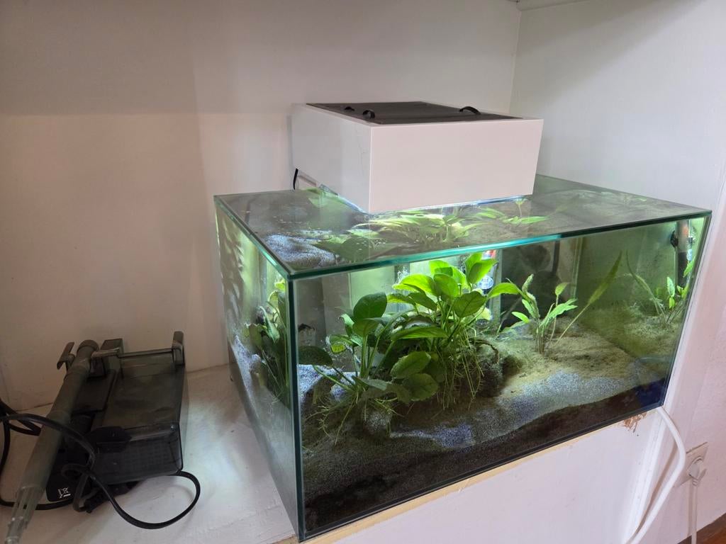 Fluval Edge 23L aquarium design wit, Ophalen, Inclusief vissen, Leeg aquarium, Fluval