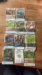 Groentepakket zaaden  voor de moestuin 9 euro, Ophalen of Verzenden, Volle zon