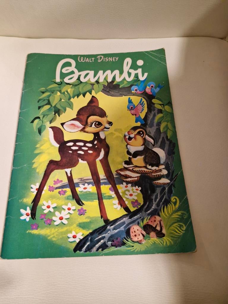 Walt Disney Bambi boek en Robin Hoed, Ophalen of Verzenden, Gelezen, Sprookjes