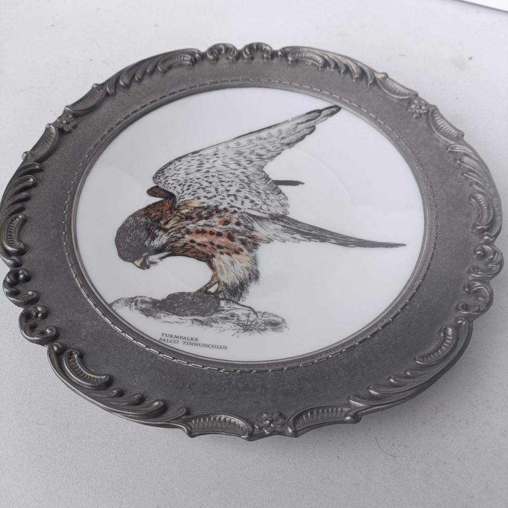 Scherzer Bavaria Kestrel Falcon bord met tinnen lijst, Ophalen of Verzenden