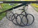 Mountainbike 26 Inch, Gebruikt, 26 inch, Meer dan 20 versnellingen, Ophalen