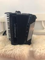 Scandalli Polifonico X, Muziek en Instrumenten, Accordeons, Overige merken, Met koffer, Zo goed als nieuw, 96-bas