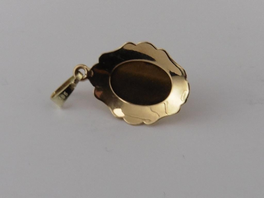 Gouden hanger met tijgeroog                              G33, Gebruikt, ., Ophalen of Verzenden, .