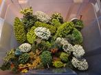 Mooie collectie modelbouw bomen, diverse soorten en maten, Ophalen of Verzenden, 1:50 tot 1:144
