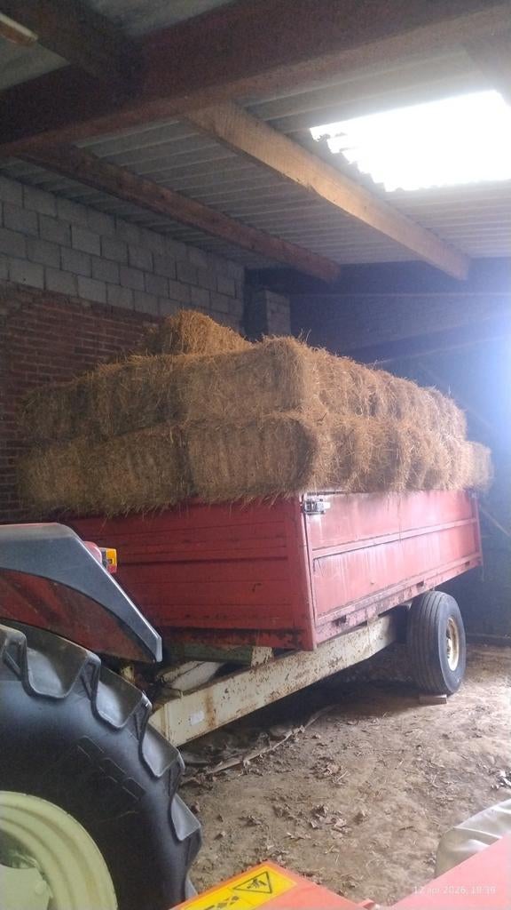 Hooi in balen, Dieren en Toebehoren, Ophalen of Verzenden, Vee