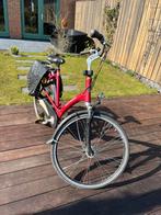 damesfiets, 56 cm of meer, Ophalen, Gebruikt, Overige merken