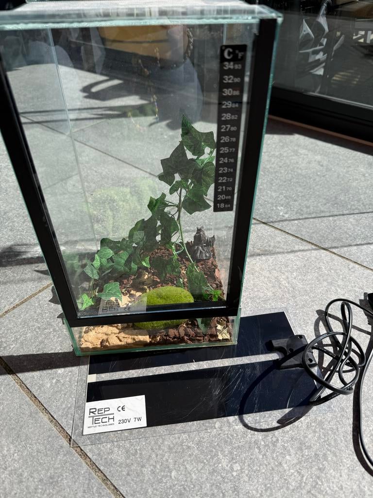 Klein terrarium, Dieren en Toebehoren, Ophalen, Zo goed als nieuw, Terrarium of Paludarium