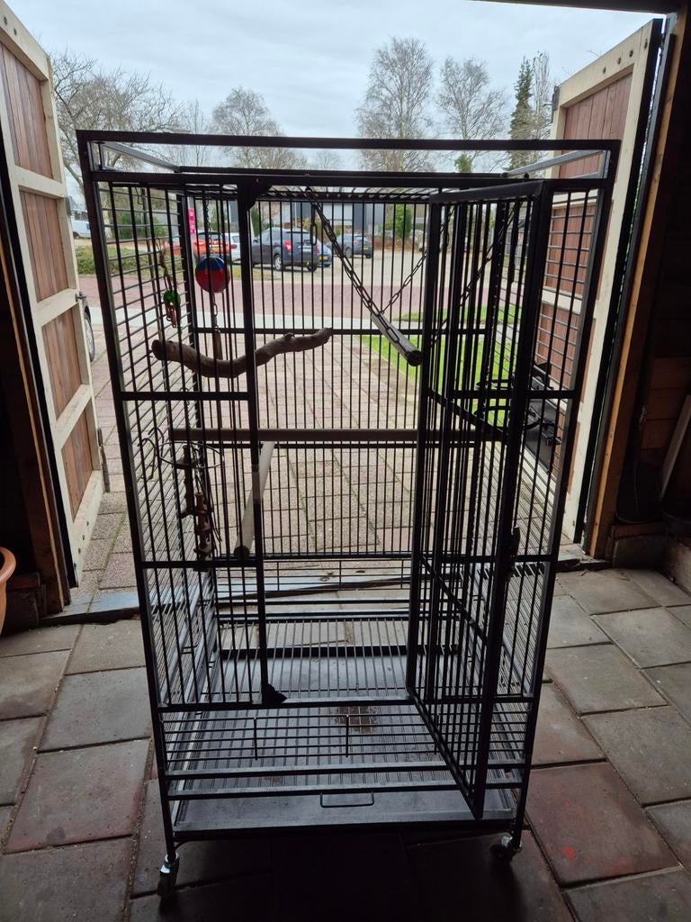 Te Koop Papegaaienkooi, Dieren en Toebehoren, Ophalen, Metaal, Vogelkooi