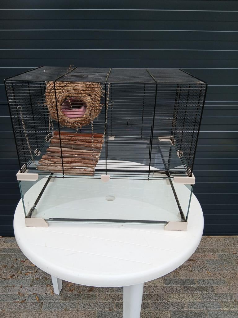 HAMSTER KOOI, Kooi, Minder dan 75 cm, Hamster, Ophalen