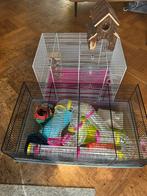 Kooi voor de hamster, Kooi, Minder dan 75 cm, Hamster, Ophalen