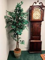 Antieke Mahonie Staande Klok met Maanstand en Maangezicht, Antiek en Kunst, Antiek | Klokken, Ophalen