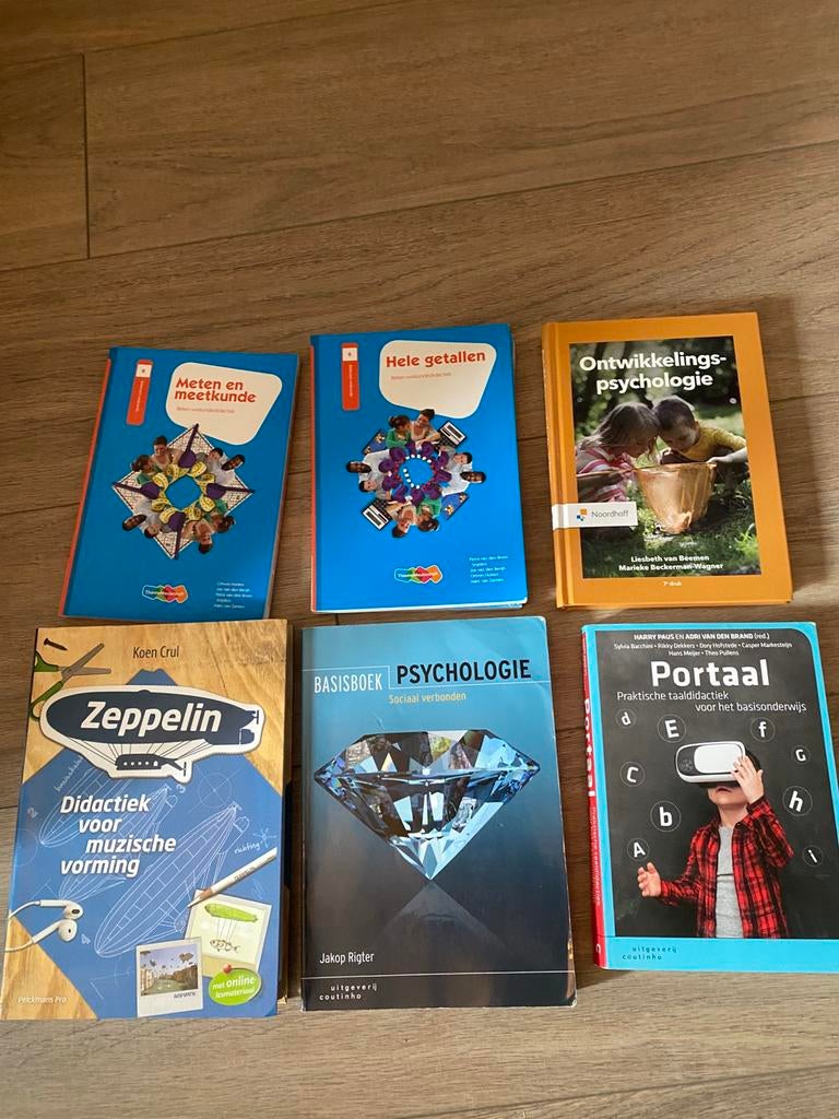 Boeken Pabo leerjaar 1, Ophalen, Zo goed als nieuw, Overige niveaus