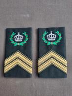Rangen DT  overhemd compagnies sergeant majoor, Ophalen of Verzenden, Landmacht, Nederland, Embleem of Badge