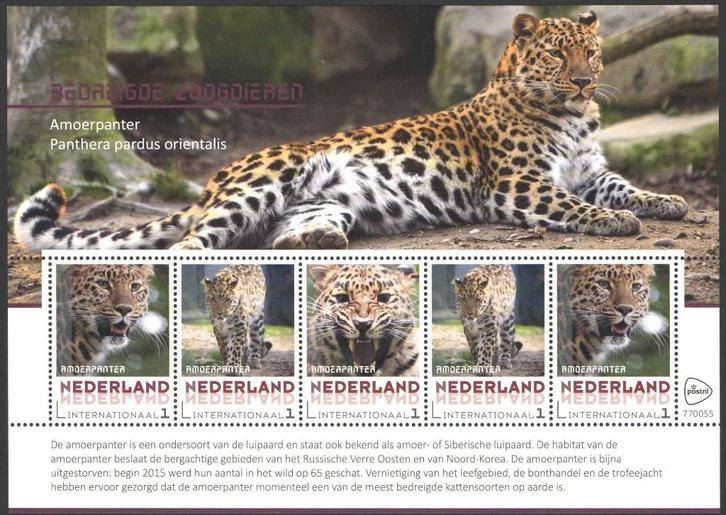 Postzegels Bedreigde zoogdieren: Amoerpanter, Postzegels en Munten, Postzegels | Nederland, Postfris, Na 1940, Ophalen of Verzenden