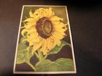 Voor het Kind ansichtkaart Zonnebloem 1935, Verzamelen, Ansichtkaarten | Themakaarten, Verzenden, 1920 tot 1940, Ongelopen, Kinderen