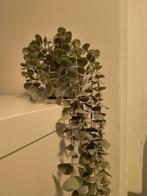 Betonlook pot met hangplant - industrieel, Ophalen, Nieuw, Binnen