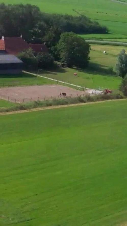Paardenstalling, Dieren en Toebehoren, Stalling en Weidegang, Stalling, Weidegang, 1 paard of pony