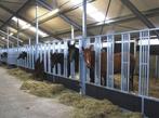 48. Loopstal paard | vrijloopstal | groepshuisvesting paard, Dieren en Toebehoren, Stalling en Weidegang, Stalling, 4 paarden of pony's of meer