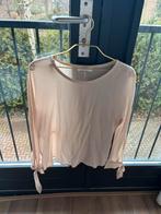 Vanilia blouse zijde, Ophalen of Verzenden, Nieuw, Maat 36 (S), Roze