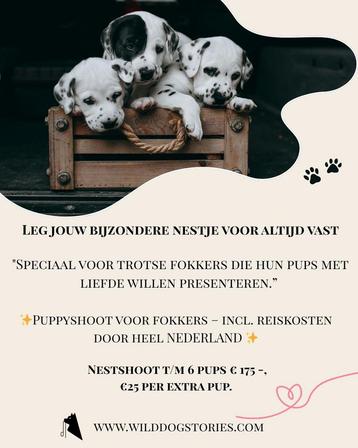 Professionele pups/nestshoot voor fokkers & baasjes beschikbaar voor biedingen
