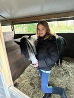 VERZORGER AANGEBODEN!!!!, Dieren en Toebehoren, Paarden en Pony's | Verzorgingsproducten, Ophalen of Verzenden, Zo goed als nieuw